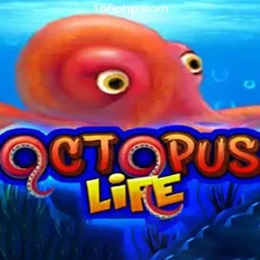Exploring OctopusLife: A New Wave in Online Casino Gaming